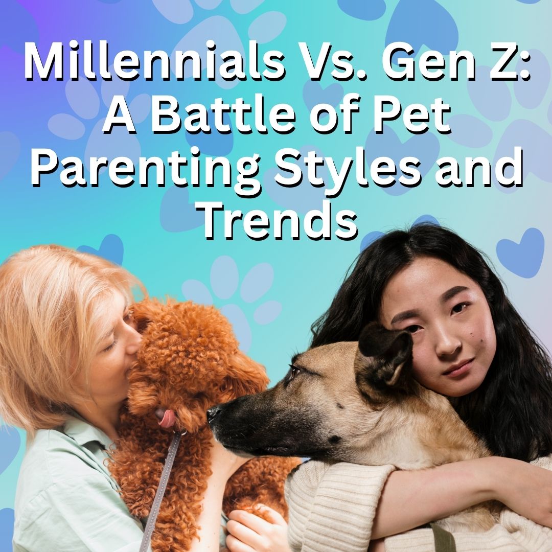 Millennials Vs. Gen Z: A Battle of Pet Parenting Styles and Trends