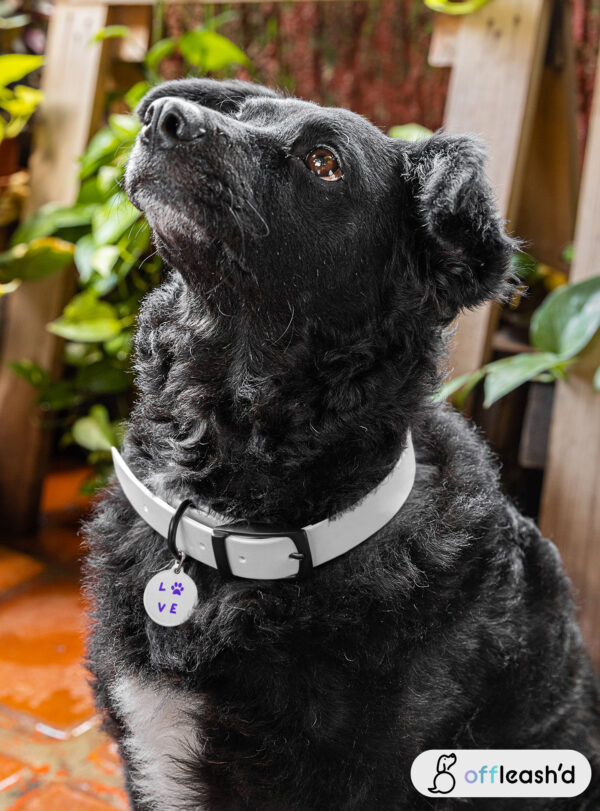 Paw Print Pet Tag | Pet PAW Love Collar Dog for Dogs and Cats | Dog ID Tag | Cat ID Tag | Pet Tag Gift | White Coated Solid Metal Pet Tag - Image 8